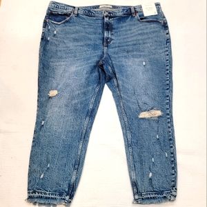 Abercrombie & Fitch Blue Distressed Women Jeans